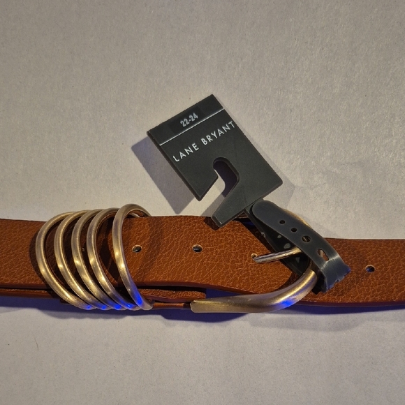 NWT Lane Bryant Brown Belt with Gold Accents - Picture 3 of 6